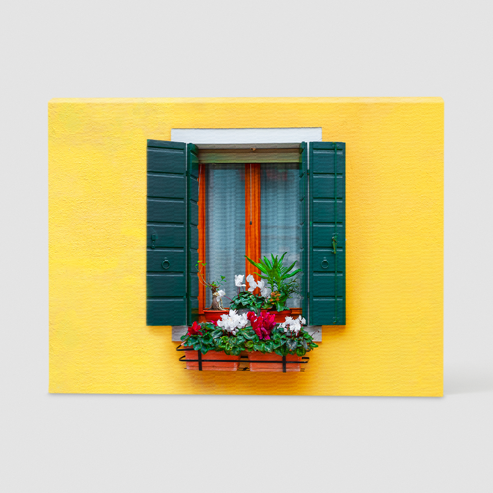 Canvas Prints