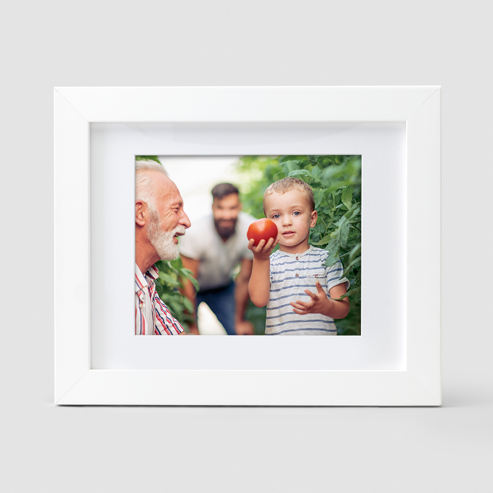 Framed Prints