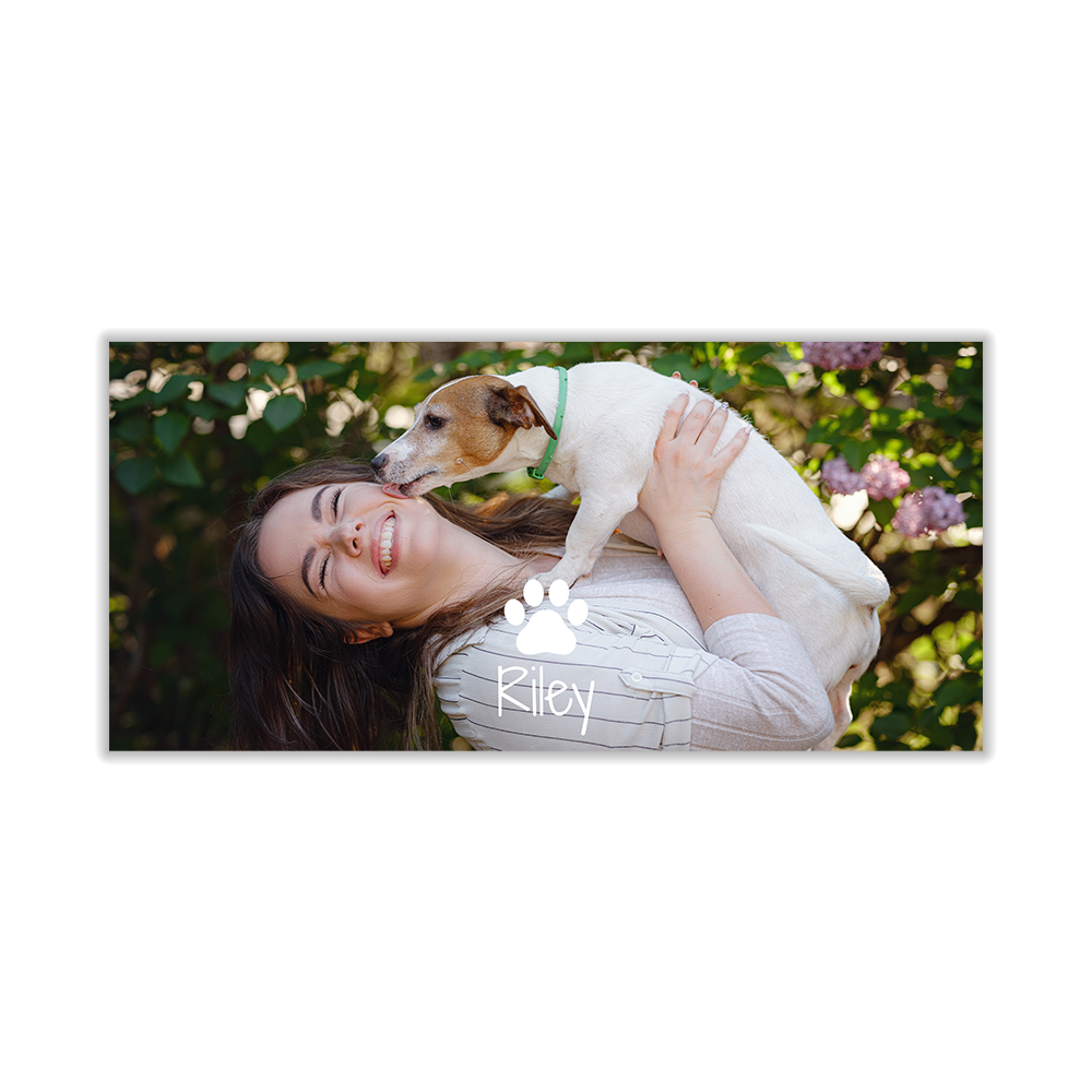 Minimal Pet - 1 Photo